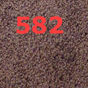 Dream Jab Teppichboden Wunschmaß 582